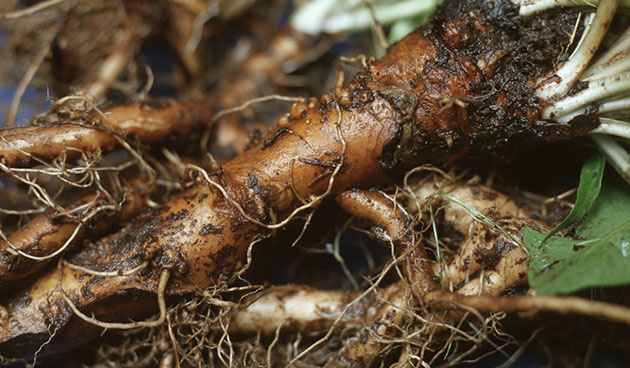 Фото: globallookpress.com