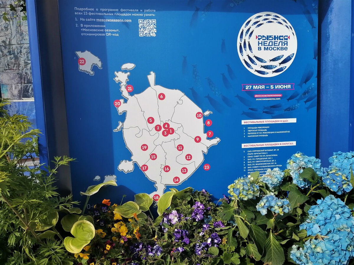 Карта локаций фестивальных площадок