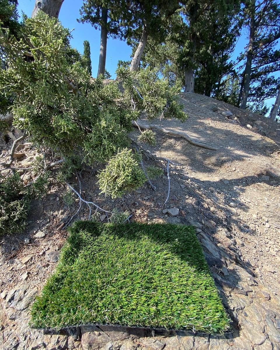 Искусственный газон