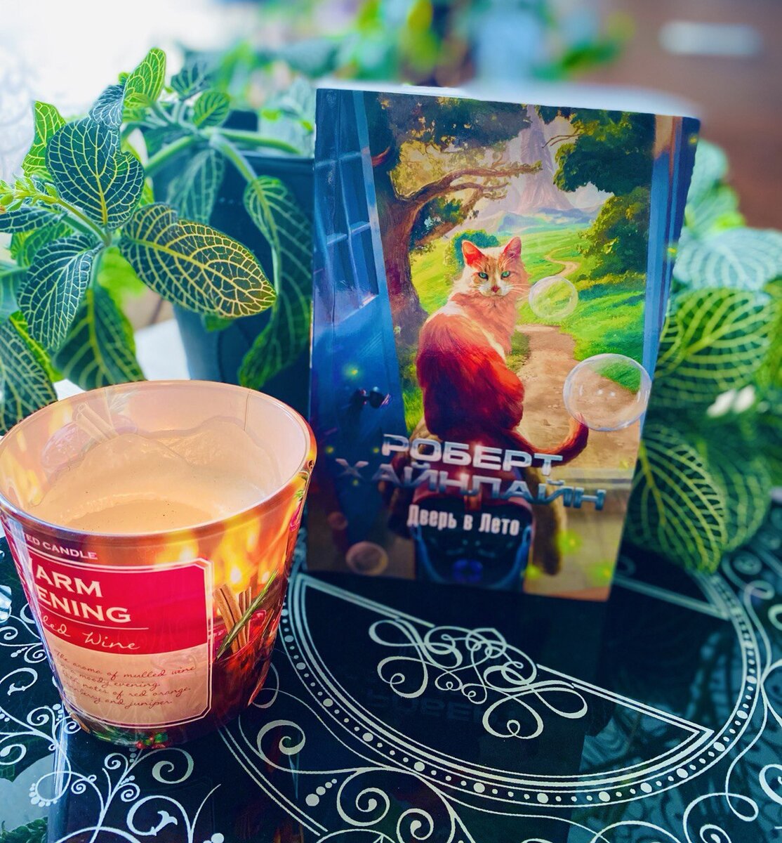 Фото автора