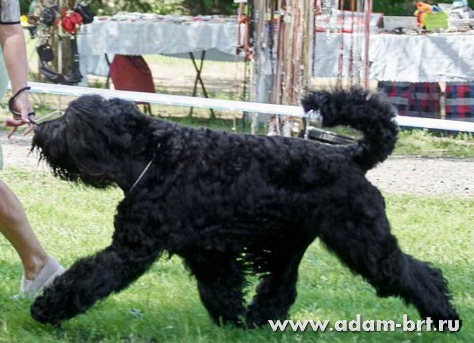 фото из свободного источника.