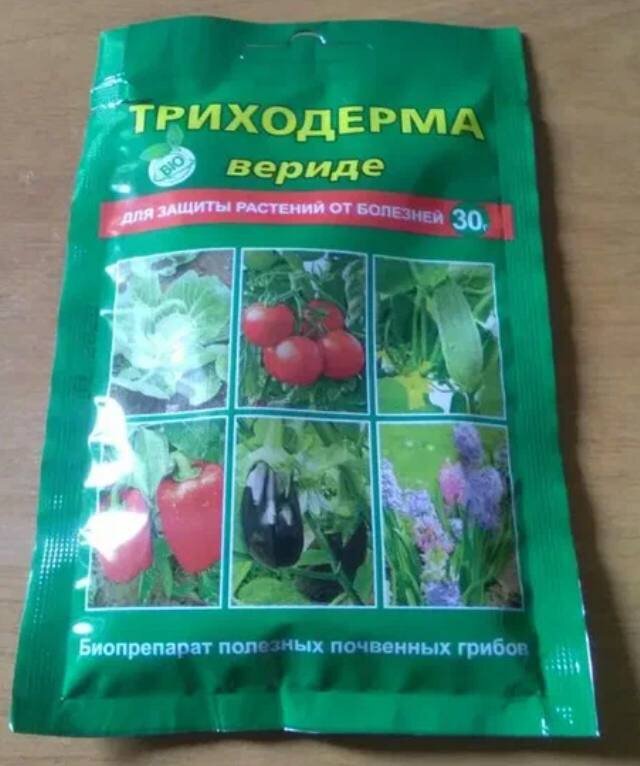Триходерма вериде 30г (компл. Триходерма вериде 120г вх. Болезней) вх х150. Триходерма вериде 30 г. Грибы триходерма почвенные.