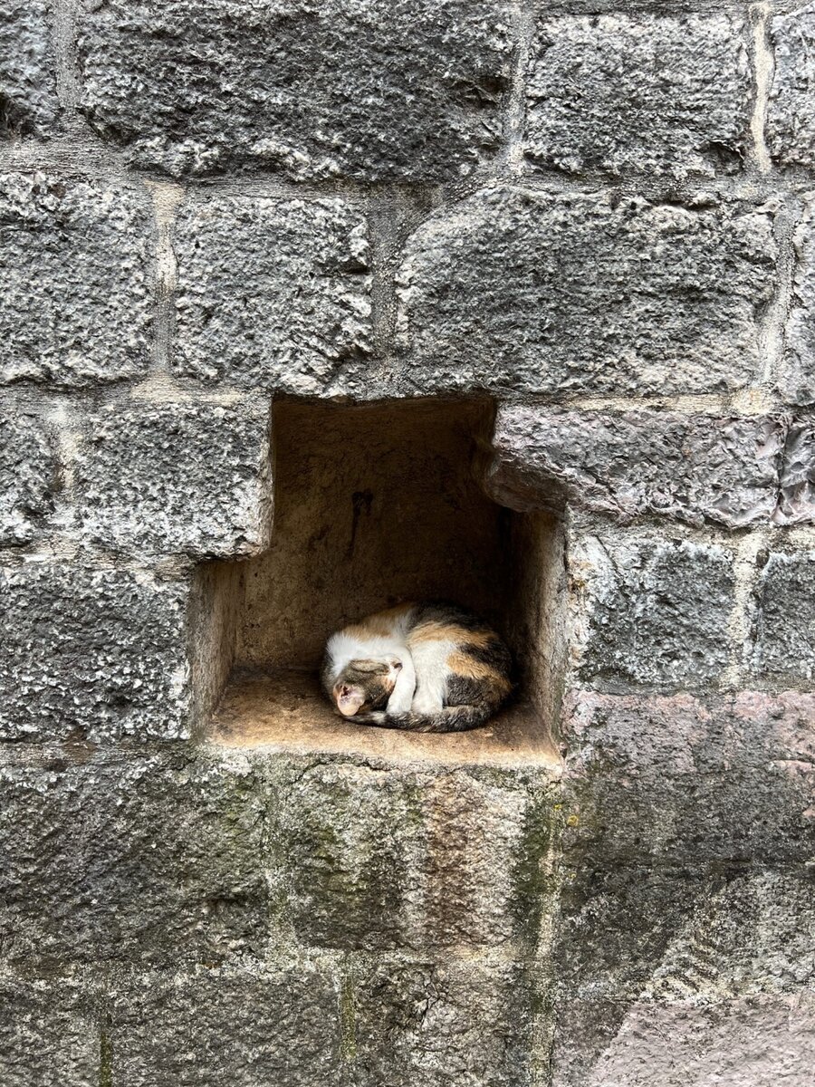 Кто-то спал