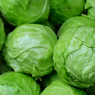 Капуста белокочанная