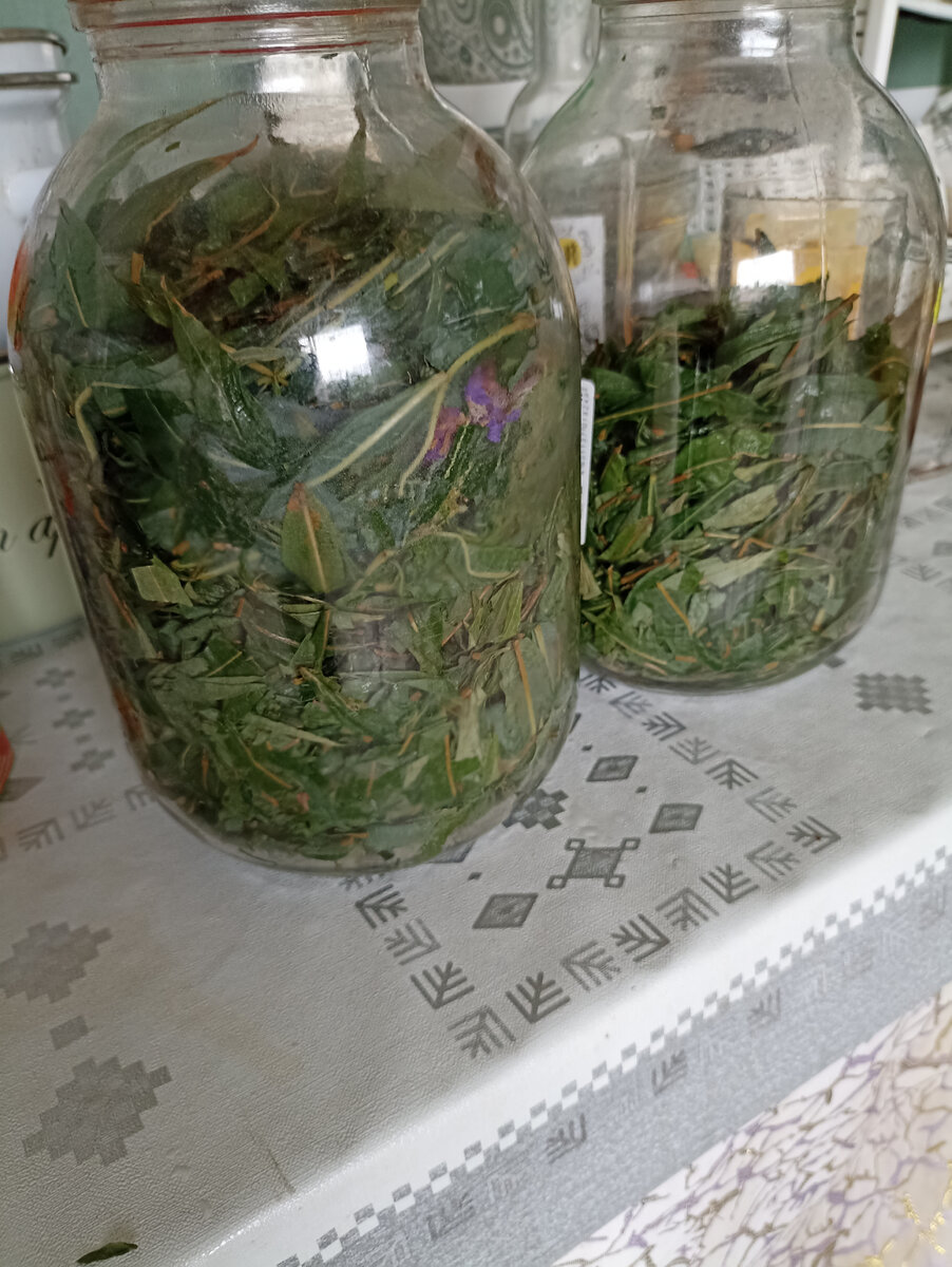 Форминтация Иван чая