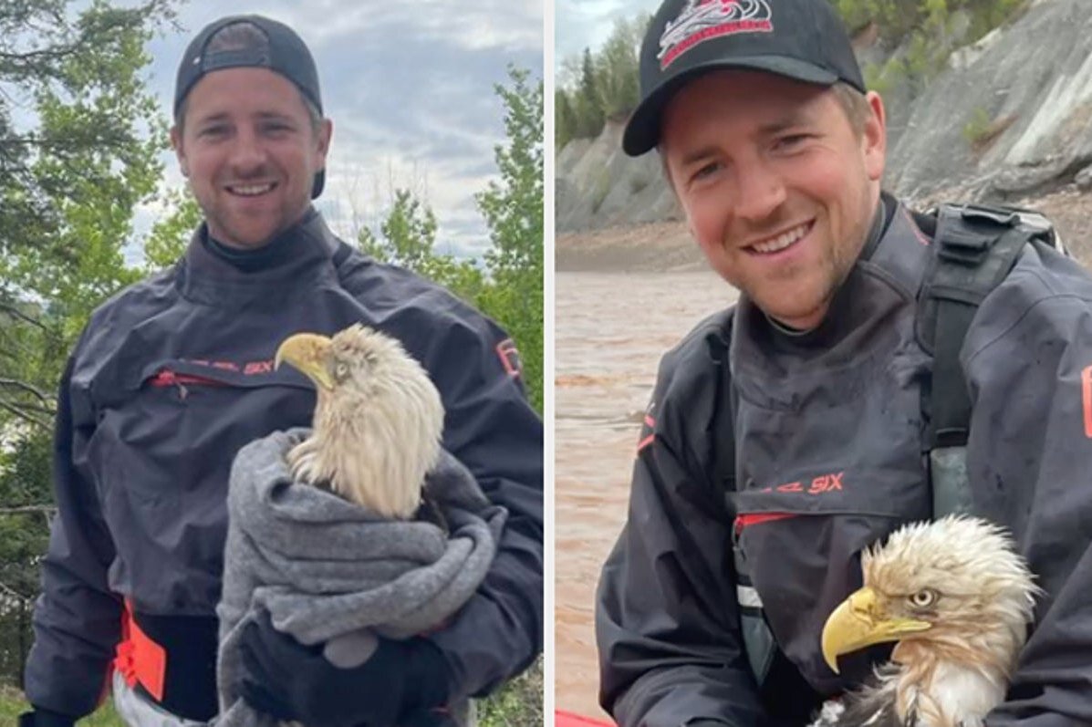     Мужчина спас тонущего орла из реки: видео