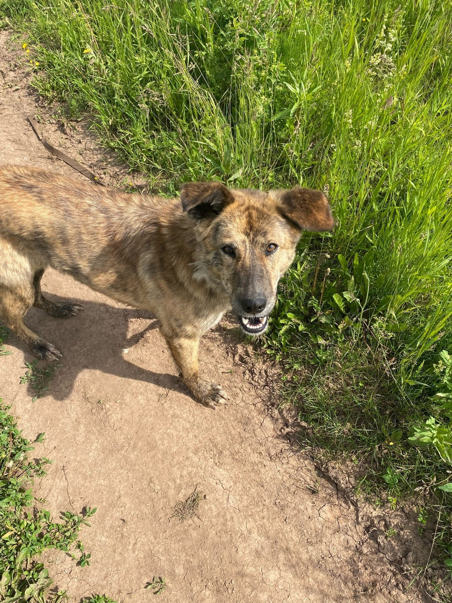 Афра собственной персоной