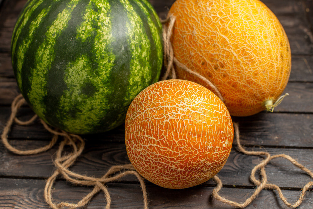   Melon photo created by KamranAydinov - www.freepik.com