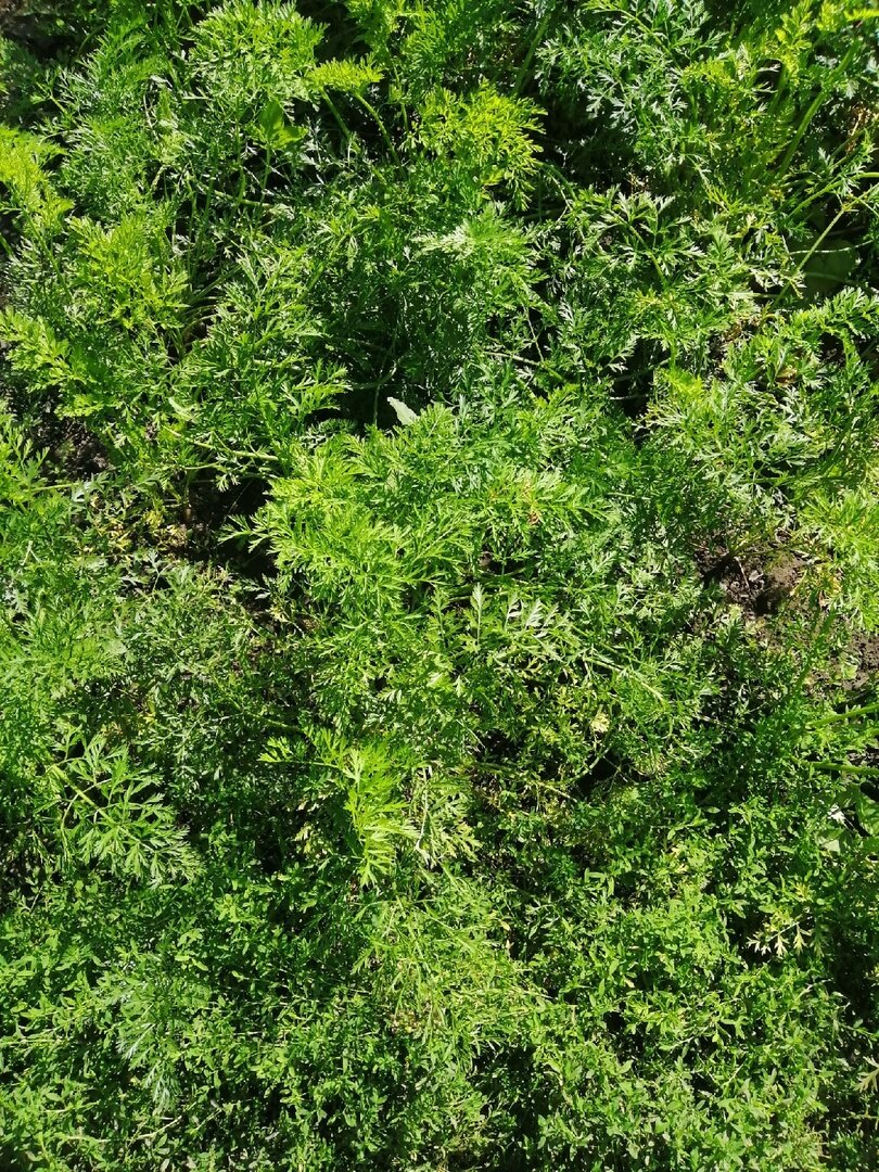 Фото Котова усадьба