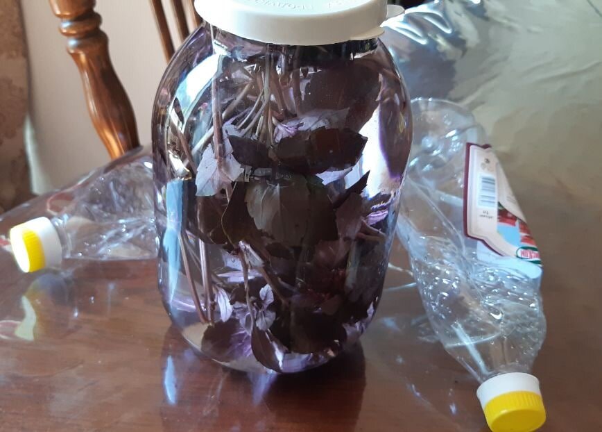 даже сразу заметно, как поменялся  цвет уксуса, а будет темным и заберет вкус базилика👍