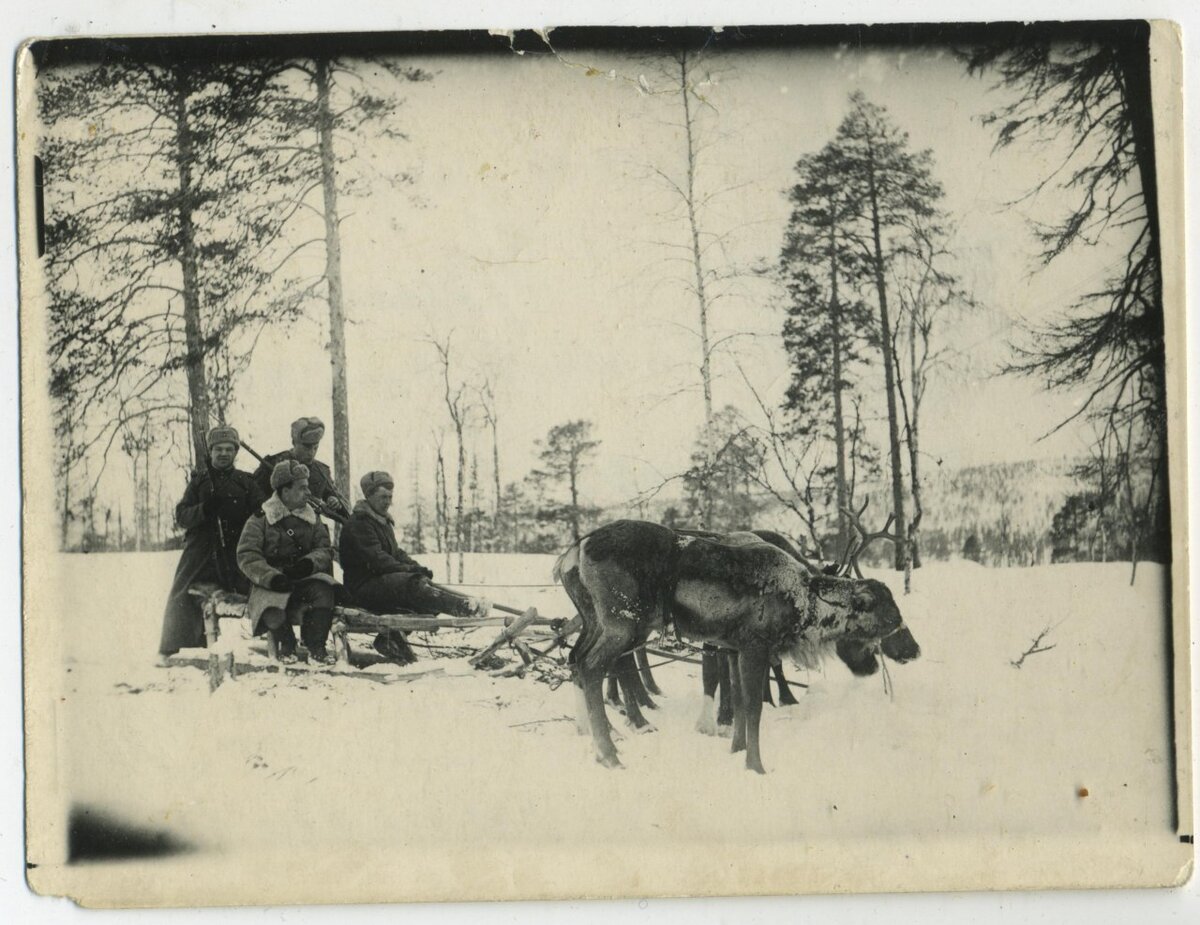 Фото лоси на войне 1941 1945