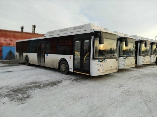     Фото: пресс-служба мэрии Омска