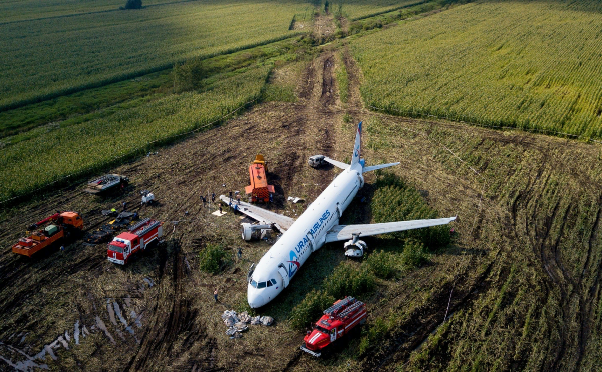 Airbus посадка. Уральские авиалинии кукурузное поле. А321 Уральские авиалинии кукурузное поле. На кукурузном поле Airbus a321. А321 Уральские авиалинии катастрофа.