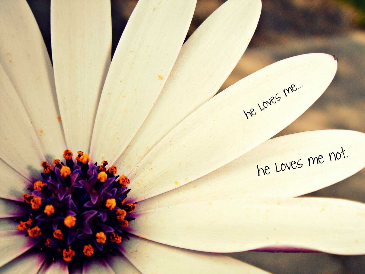 Source: https://www.cindybultema.com/he-loves-me-not/