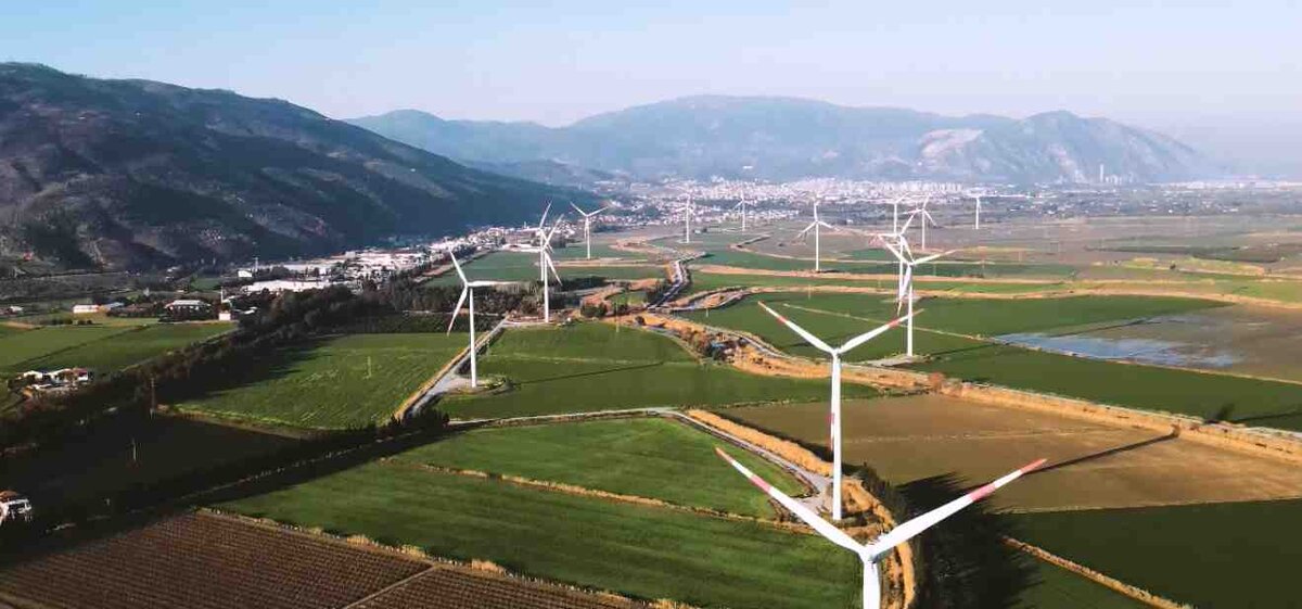 картинка автора