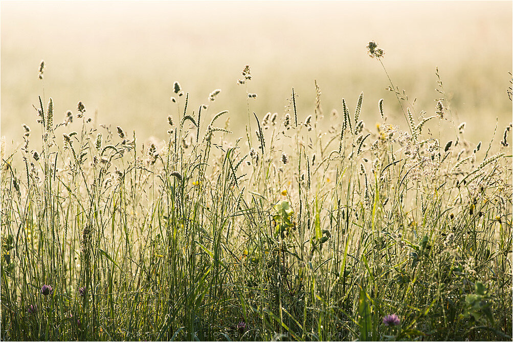 Спасибо Brigitte-Lorenz за предостваленное фото
