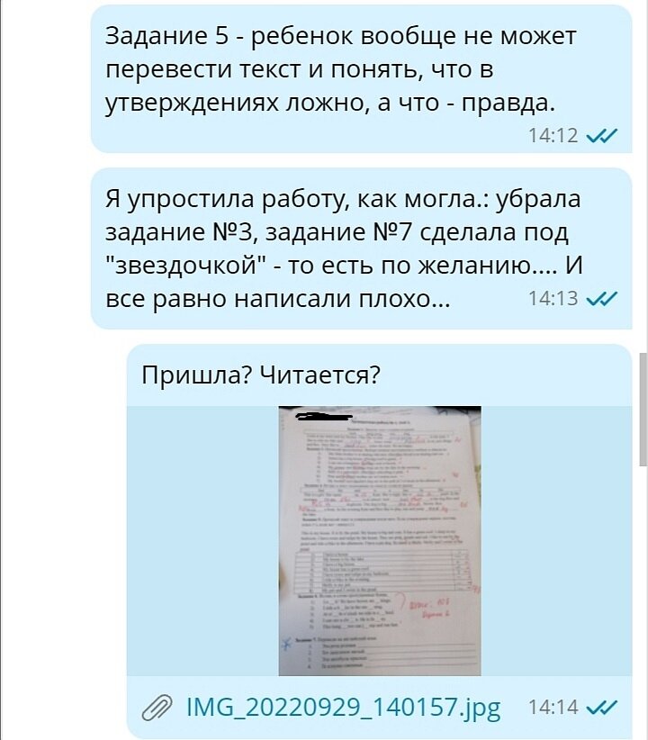 Учитель пытается объяснить маме все просчеты ребенка