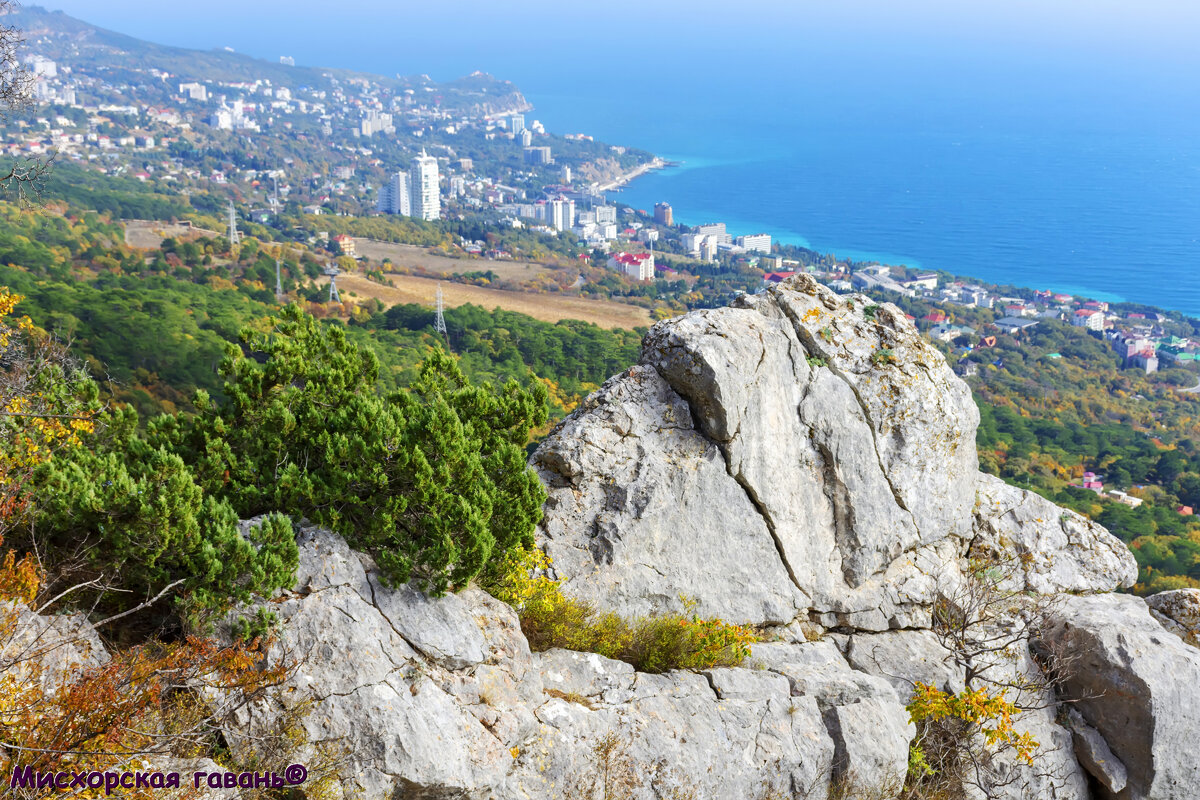 Каменные реки Крыма. Мисхор, каменный хаос горы Лысой. Крымские сосны  раскалывающие камни, растущие на камнях, живущие среди камней 🍎 |  Путешествия без комментариев | Дзен