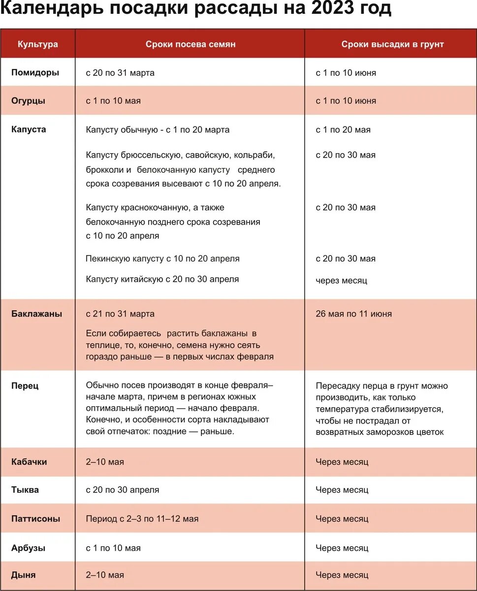 Температура прорастания семян: какая подходит для разных растений