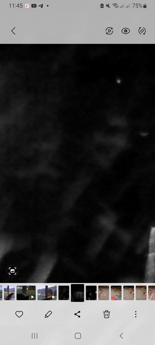 увеличенное фото жителя другого мира. смотреть в темноте!