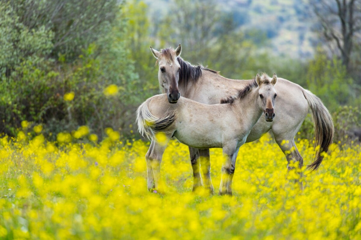 Фото: globetrotting.com.au