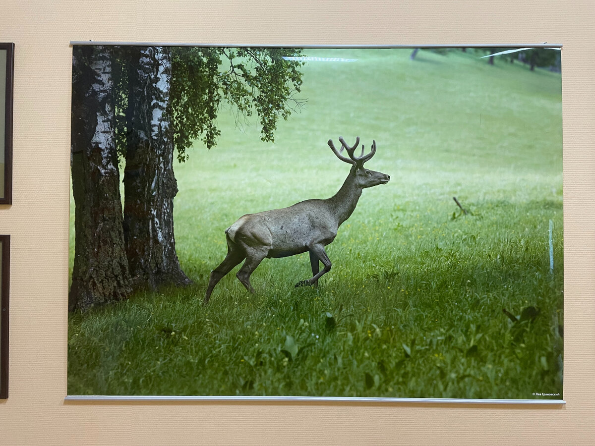 Я. Висит в коридоре размером 1,0+1,5 метра. Кадр не мой, но мне понравился)