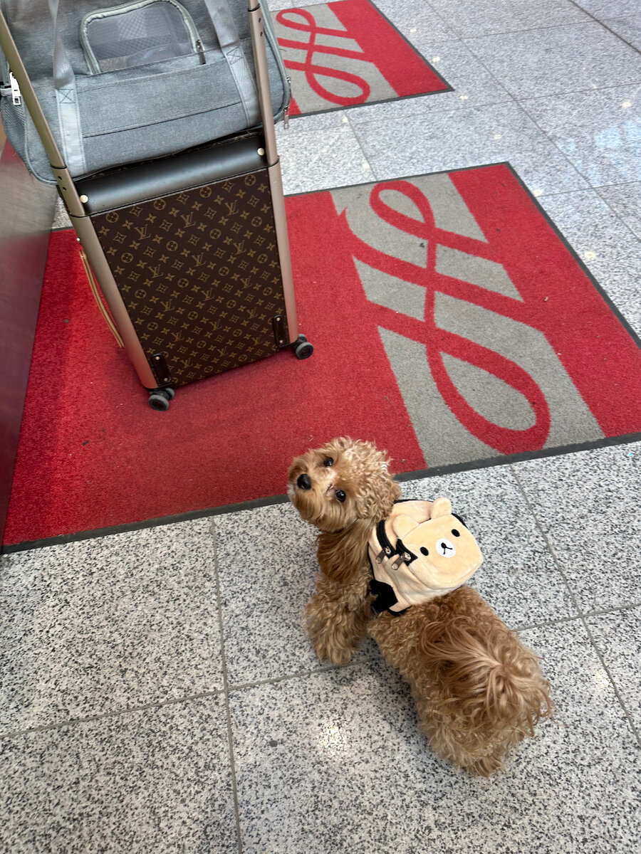 Со своим рюкзаком