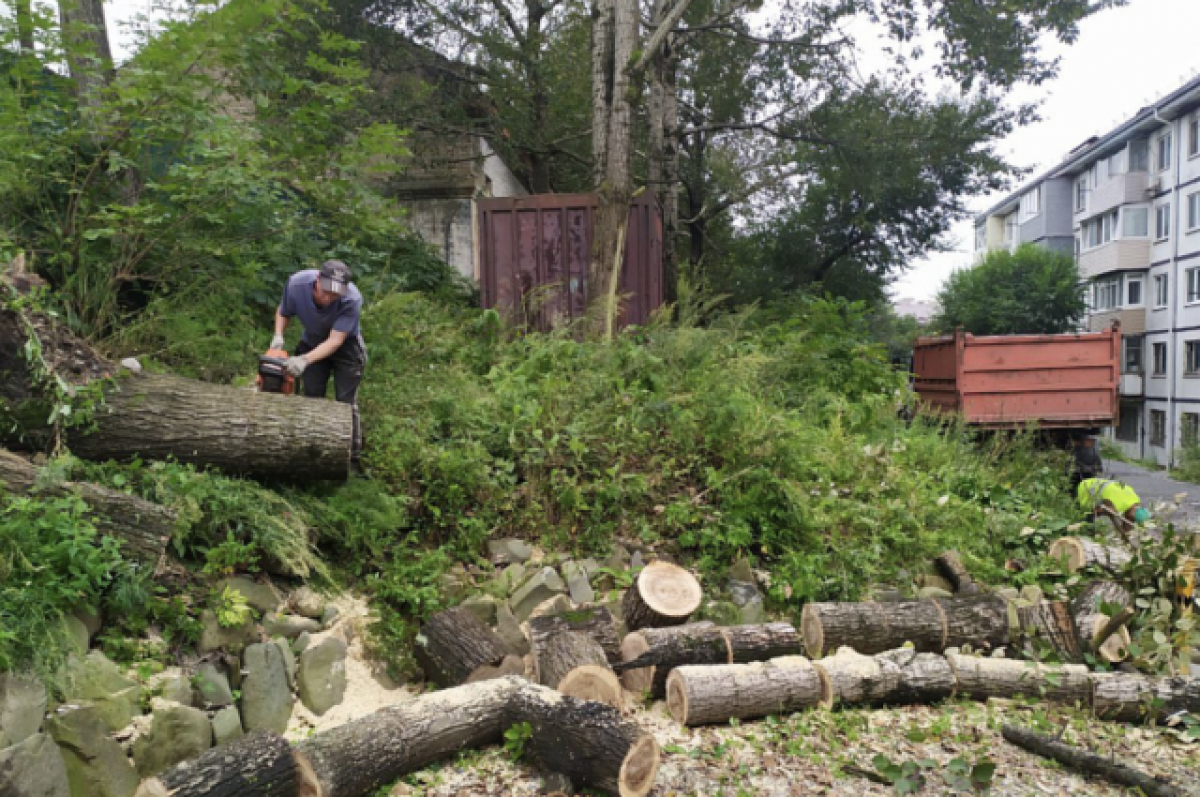    С улиц Владивостока убирают поваленные деревья