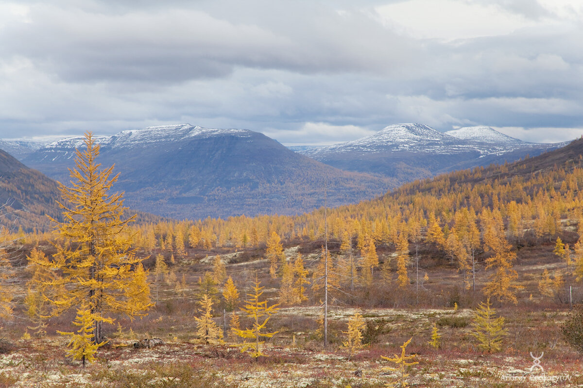 Плато Путорана осень