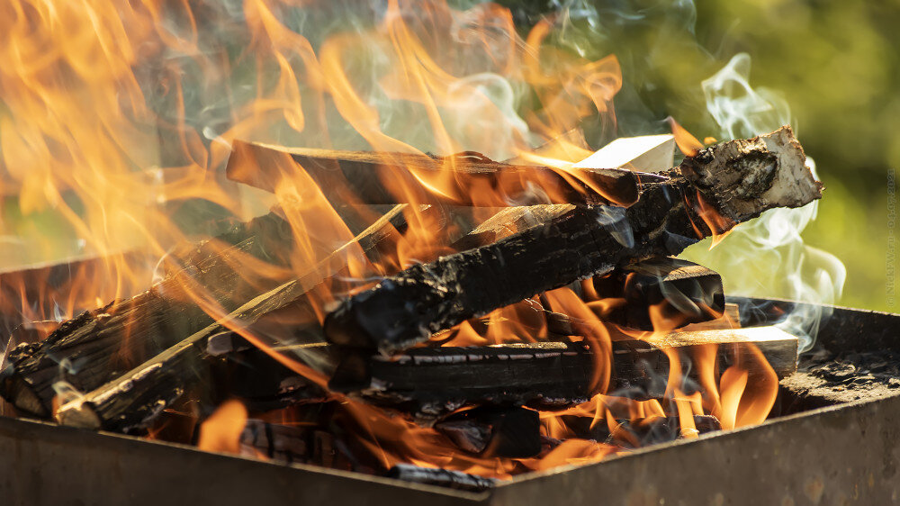 1. Огонь от берёзовых дров в мангале... © NickFW.ru — 04.07.2021г.