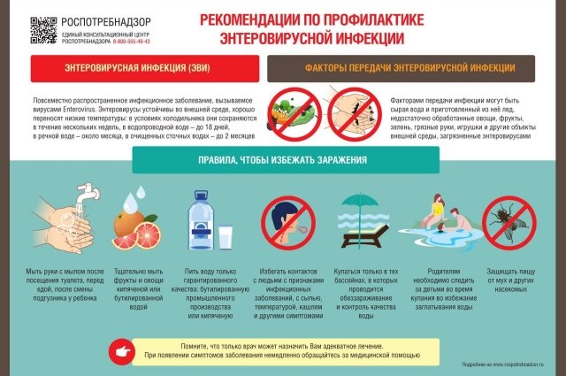    Инфографика Роспотребнадзора об энтеровирусе Фото: Telegram-канал Управления Роспотребнадзора по Забайкальскому краю