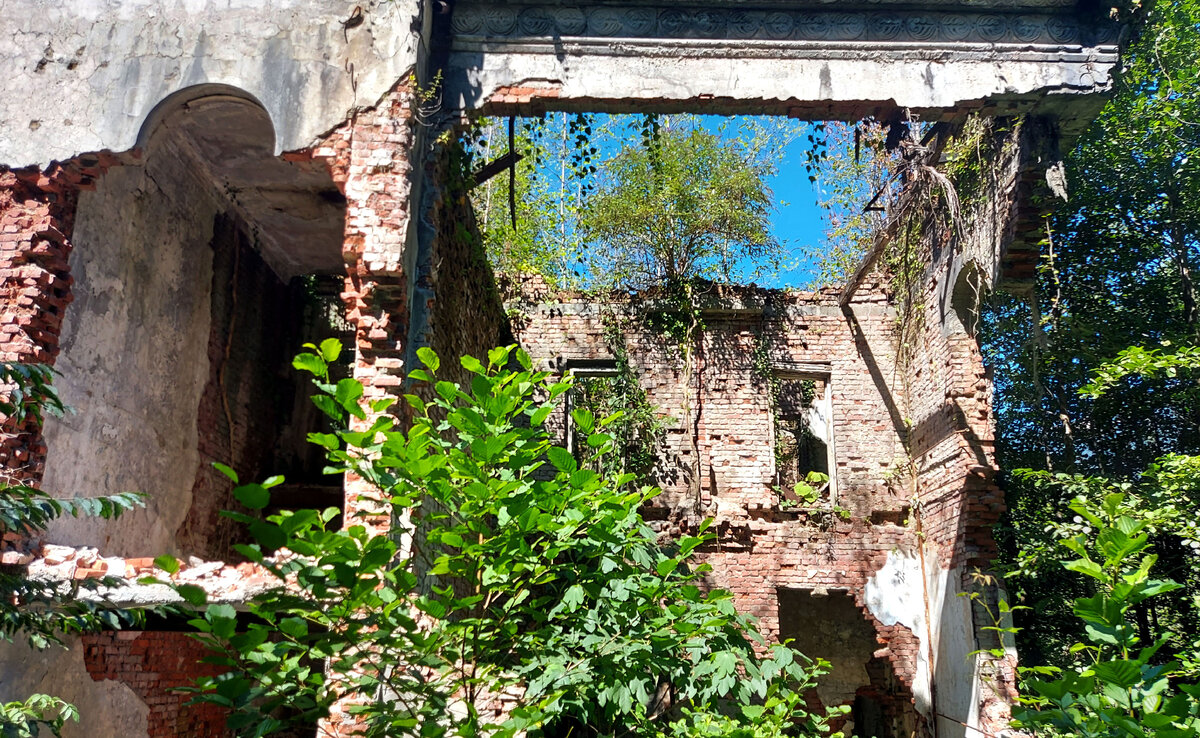 Фото автора статьи