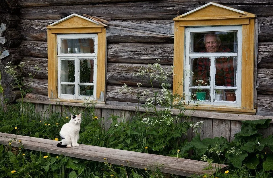 Яндекс картинки