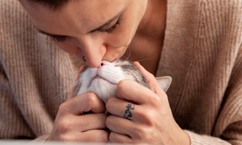 Фото freepik.com