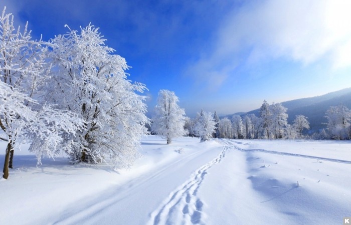Фото с сайта comandir.com