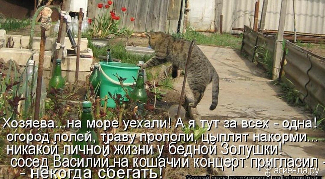 Прикольные картинки про садоводов и огородников