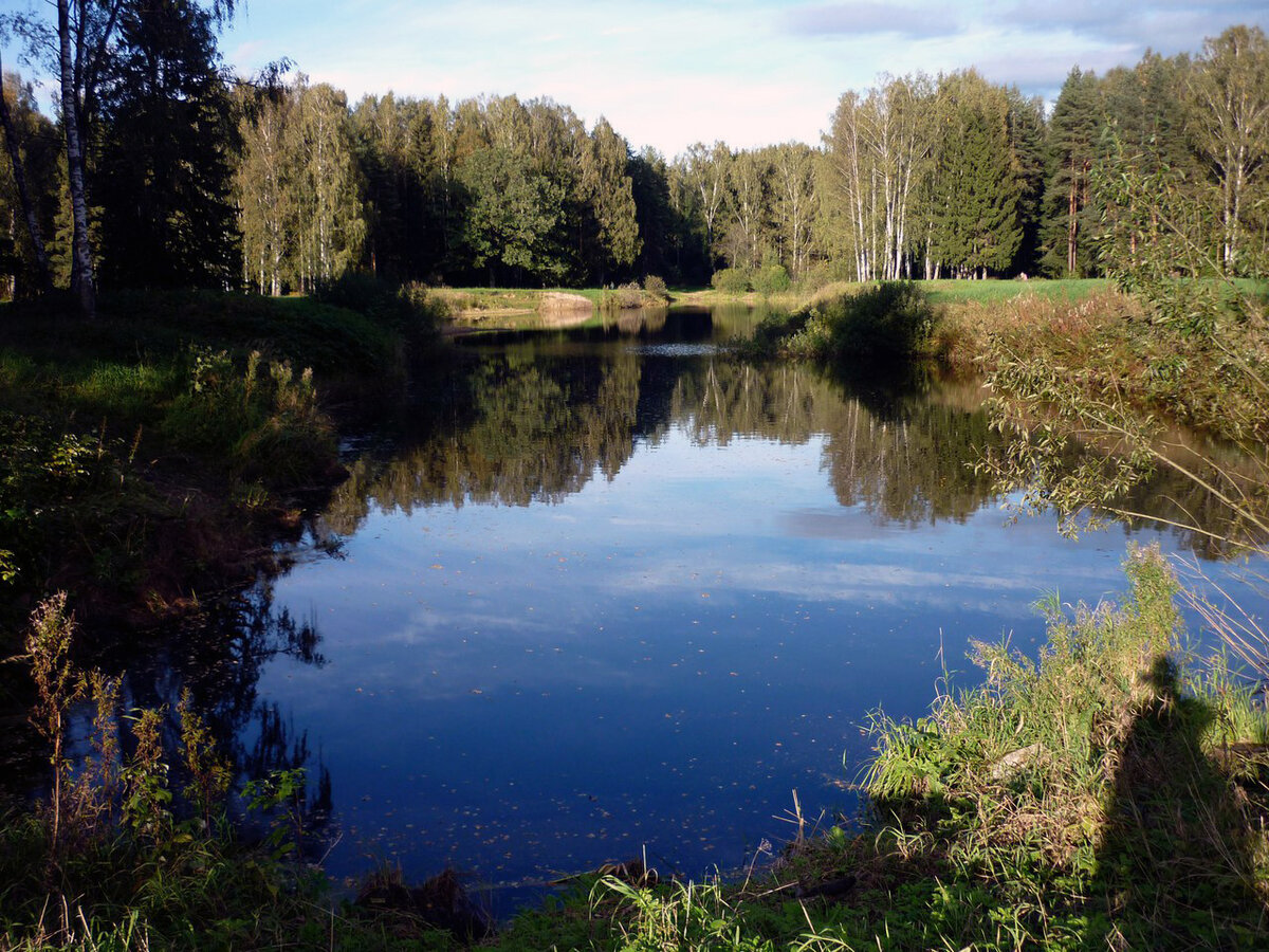 Один из прудов в парке города Павловск