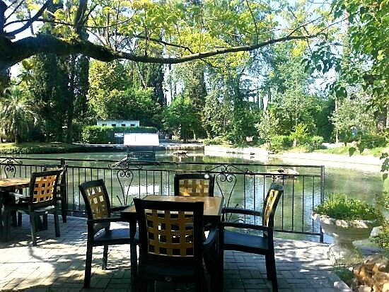 Где вкусно покушать? - Топ-5 лучших кафе Абхазии | Путевые заметки | Дзен