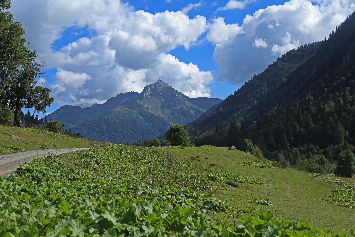 Авадхара абхазия фото