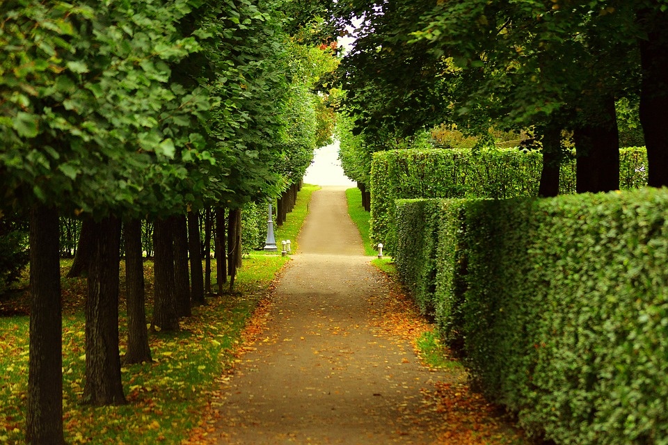 Фото: pixabay.com