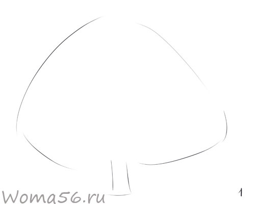 На листе бумаги нужно обозначить общий контур дерева, символично обозначить крону и ствол.