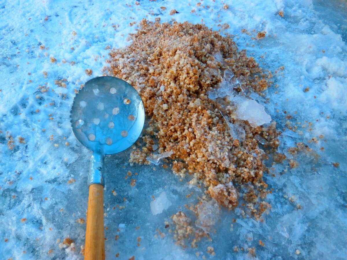                                    чем рыбу кормим