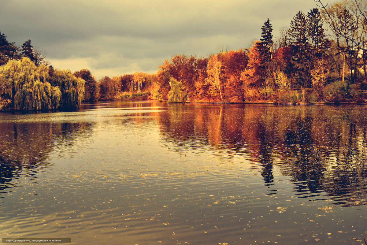 Рыбалка в ноябре это- в основном ловля хищных рыб. Ноябрская погода прям создана для ловли хищника и окуня . Хороша рыбалка на налима , но она не будет такая эффективная как рыбалка на окуня и щуку . Не плохо идет судак . Так же можно на глубоких ямах можно встретить крупного леща.