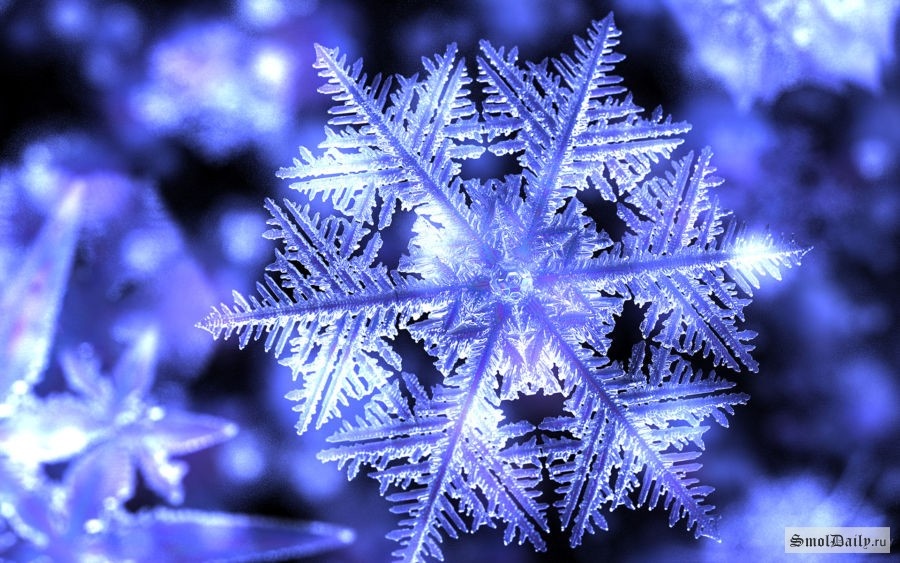 Новый Год - это событие СКАЗКА. Праздник дарит нам незабываемые эмоции. Открывая новую страничку своей жизни, мы ждем волшебства, чуда... И провести этот праздник хочется как-то по-особенному, и выглядеть хочется модно и оригинально.