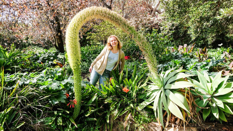 Жизнь в Австралии с Татьяной Кузнецовой