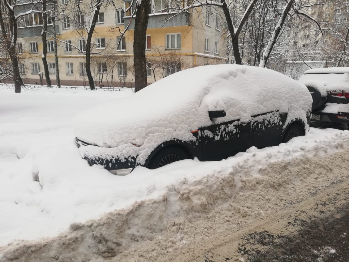 Фото: ТриБолта