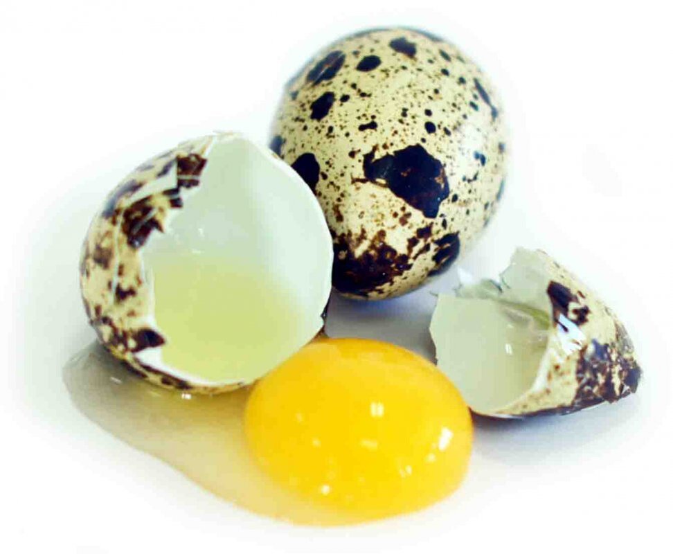 Изображение взято с:  kz.all.biz