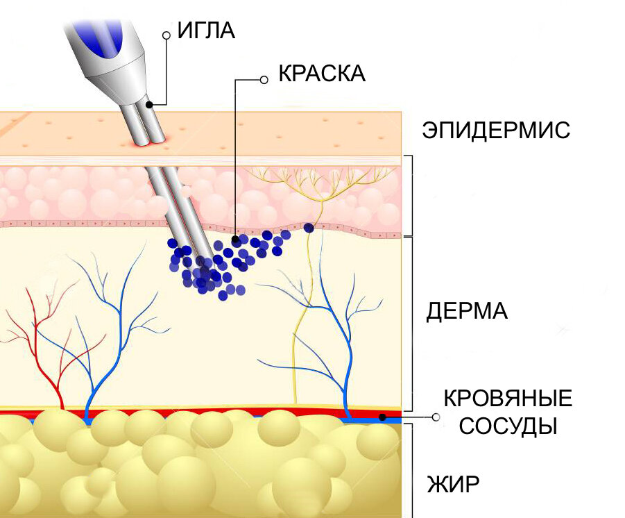 Как нанести рисунок на кожу для тату