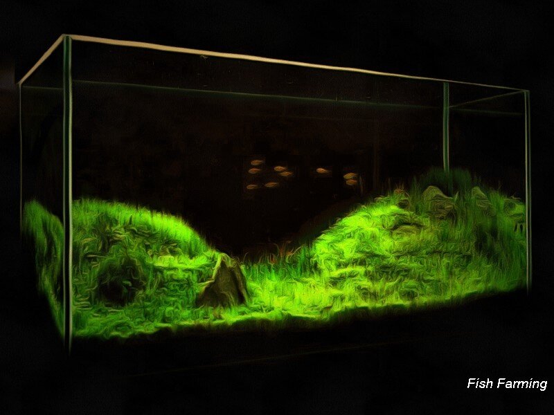 Грунт является одним из важных элементов биологической системы аквариума. 