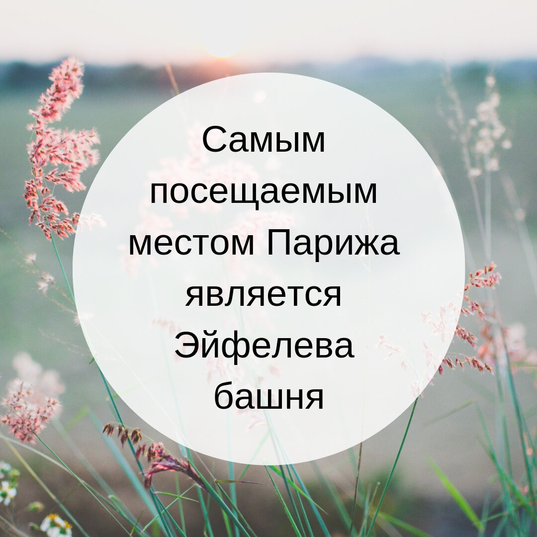 Проверьте свои знания: найдите 7 достоверных фактов о Париже | Литл Биг  Trip | Дзен